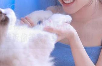 看视频能不能吃瓜？51c朝阳群众告诉你答案，绝对不缺戏！