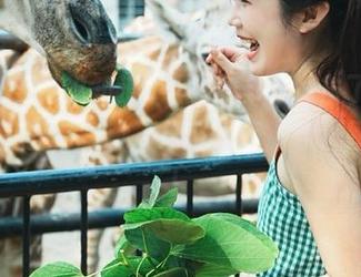 想知道“黑料51”发布了啥？让我带你走一趟，八卦的路上永远不孤单！