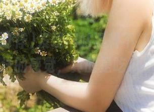 发现网站黑料不打徉，有种自动推送的感觉，真的是吃瓜不停歇！