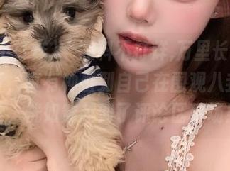 “黑料不打烊,万里长征”网址打开，真有种看到自己在围观八卦的感觉，恍如穿越到了评论区现场！