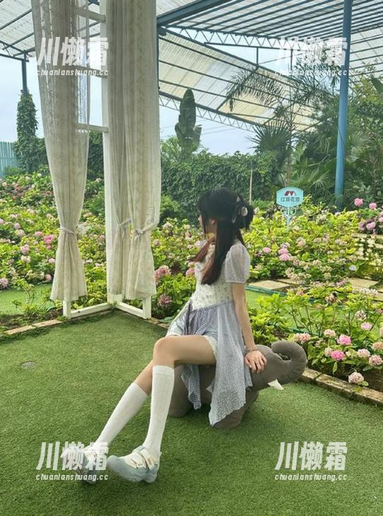 永久免费的黑料网，究竟是福利还是陷阱？