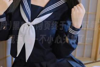 黑料网网页终于可以下载了，可我手贱一不小心关掉了…
