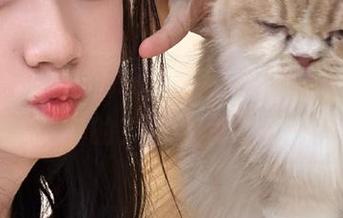 随便聊聊，黑网料在线，真的是干嘛的？我有点好奇…
